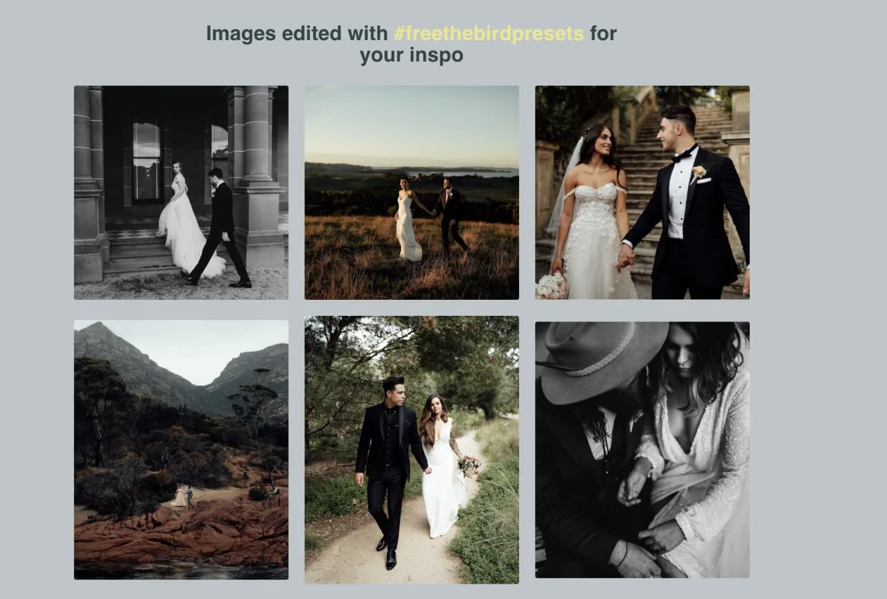 Jai Long - Free The Bird Presets