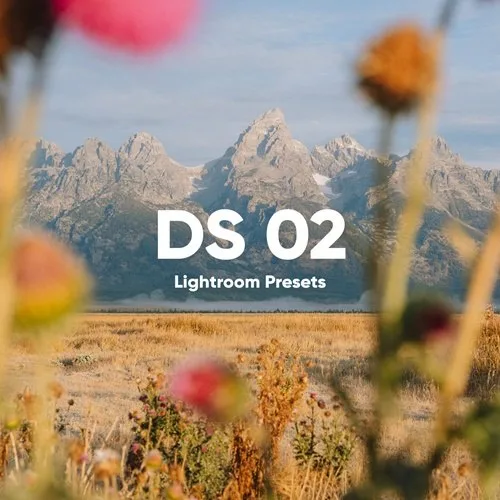 Dylan Spitz - DS Presets 02 for Lightroom Presets
